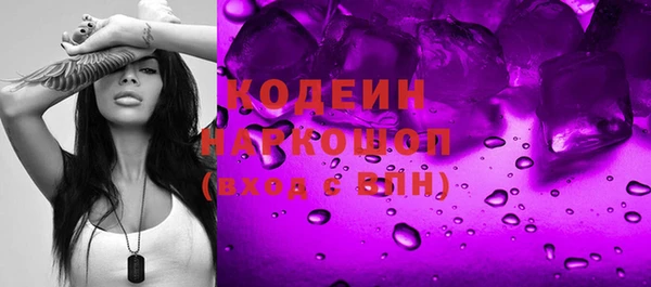 индика Михайлов