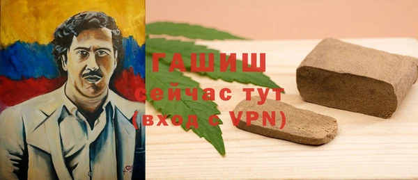 индика Михайлов
