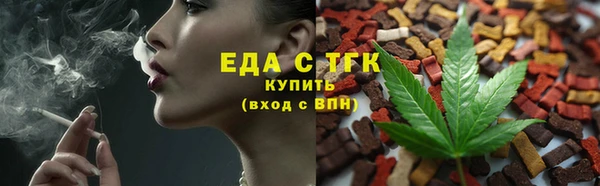 индика Михайлов
