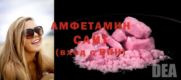 индика Михайлов