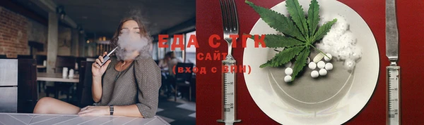 индика Михайлов