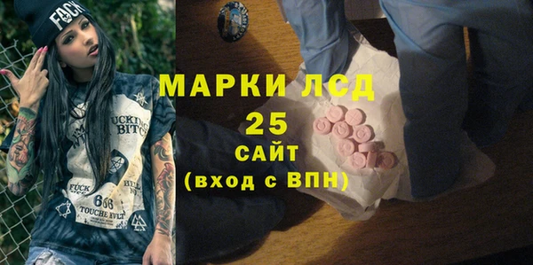 индика Михайлов