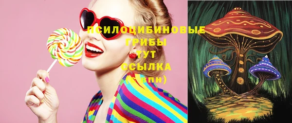 индика Михайлов