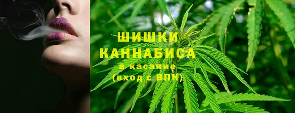индика Михайлов