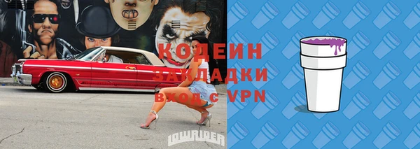 индика Михайлов