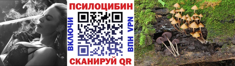 сколько стоит Великий Новгород Галлюциногенные грибы MAGIC MUSHROOMS